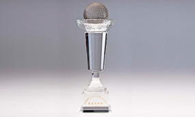 2007年荣获翠微大厦股份有限公司最佳合作奖