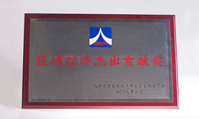 2008年区域杰出贡献奖