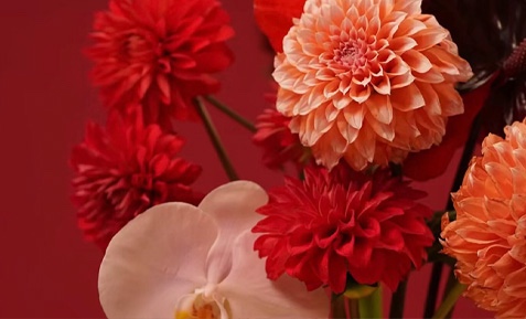 好运魔力：MONEY HONG