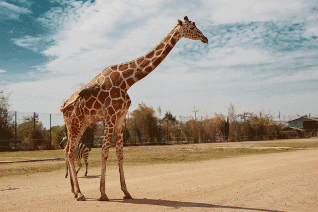 回归自然 | LIME FLARE限时概念店—太原(图3)